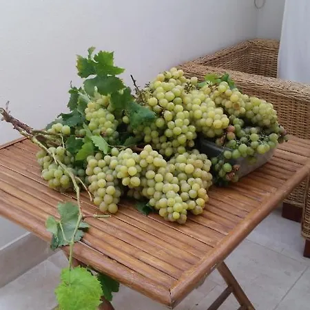 Uva Regina לינה וארוחת בוקר אלגהרו